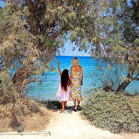 Hotel Paradise In Naxos