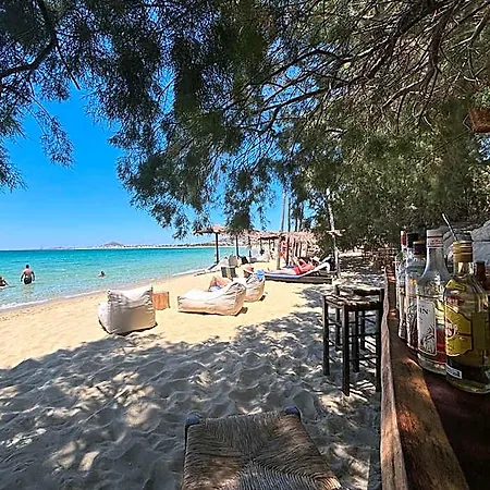 Paradise In Naxos 3*